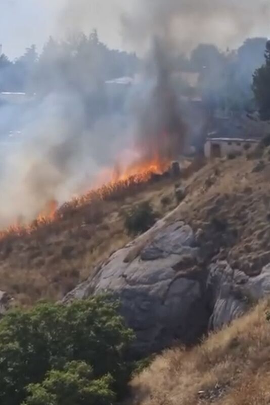 ELAZIĞ’DA OTLUK ALANDA ÇIKAN