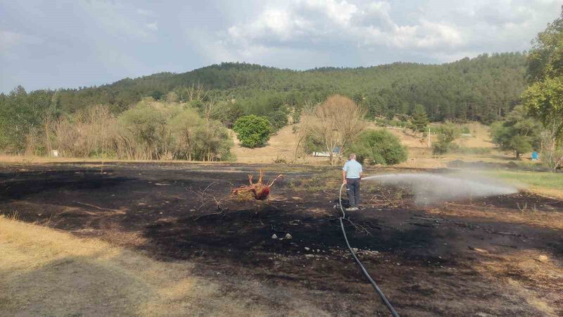 Emet’te mangal ateşinden çıkan yangından 2 dönüm ekili alan zarar gördü