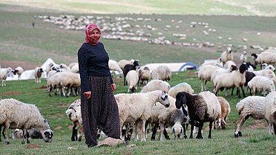 Erzurum’da 3 bin rakımda 3 yüz çadır kurulu