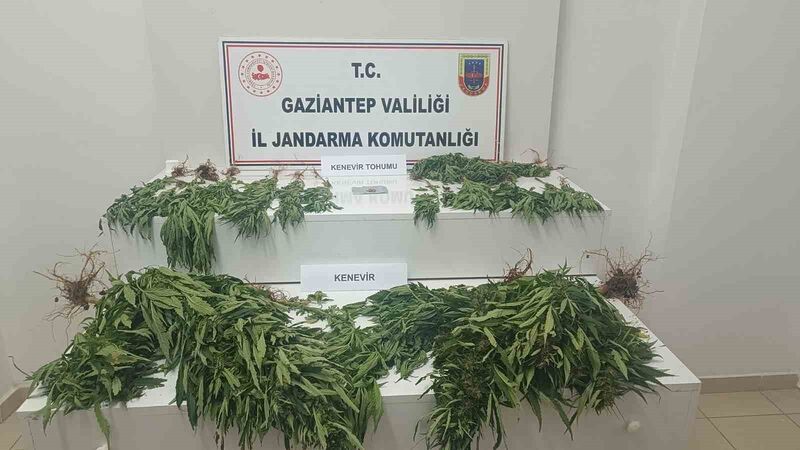 GAZİANTEP'TE JANDARMA EKİPLERİNİN 9