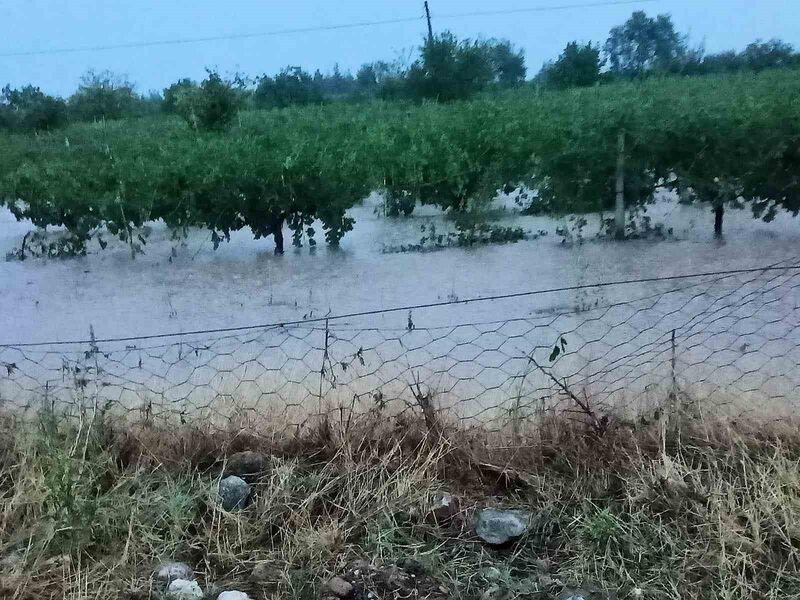 Hasada gün sayan üzüm bağlarını dolu vurdu