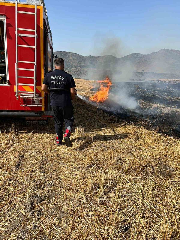 HATAY’DA BUĞDAY TARLASINDA ÇIKAN