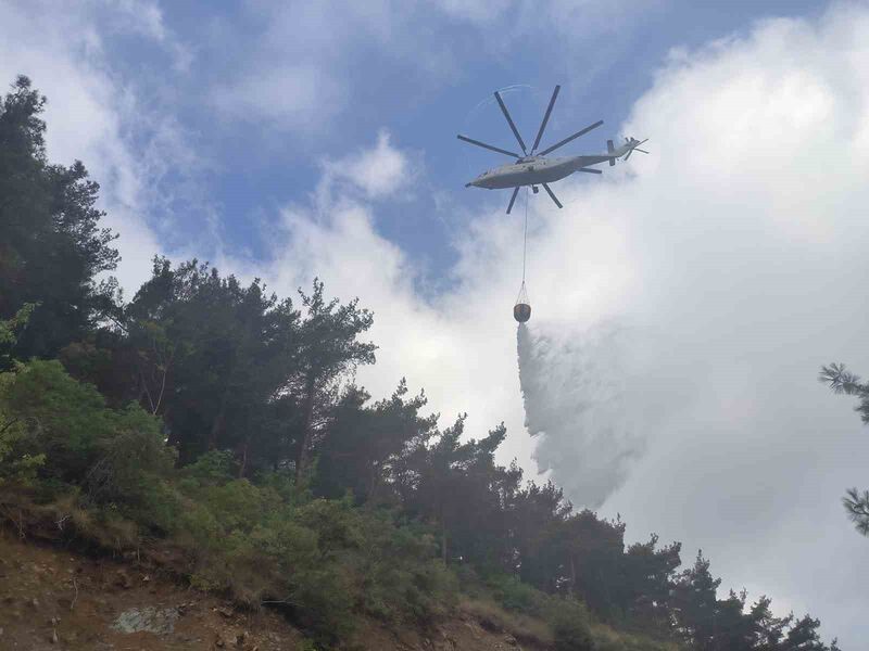 HATAY’IN ARSUZ İLÇESİNDE MEYDANA