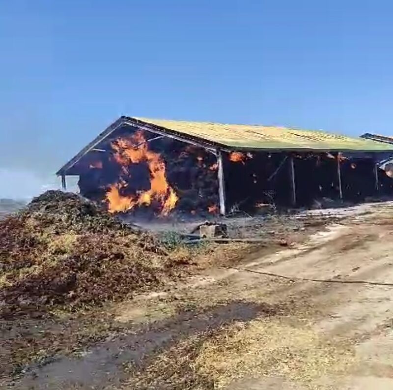 LÜLEBURGAZ’DA HAYVAN ÇİFTLİĞİNDEKİ SAMAN