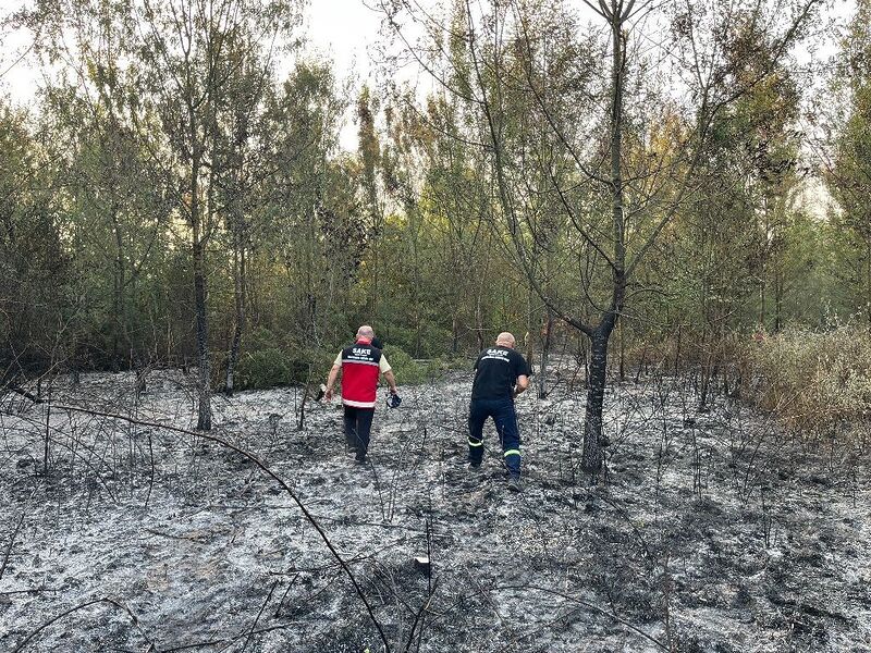 SAKARYA’NIN HENDEK İLÇESİNDE ORMANLIK