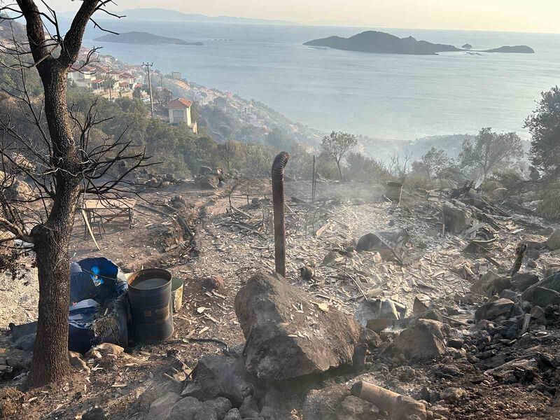 İzmir’deki yangında bir bağ evi kül oldu