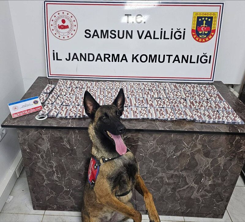 SAMSUN'DA JANDARMA EKİPLERİ TARAFINDAN