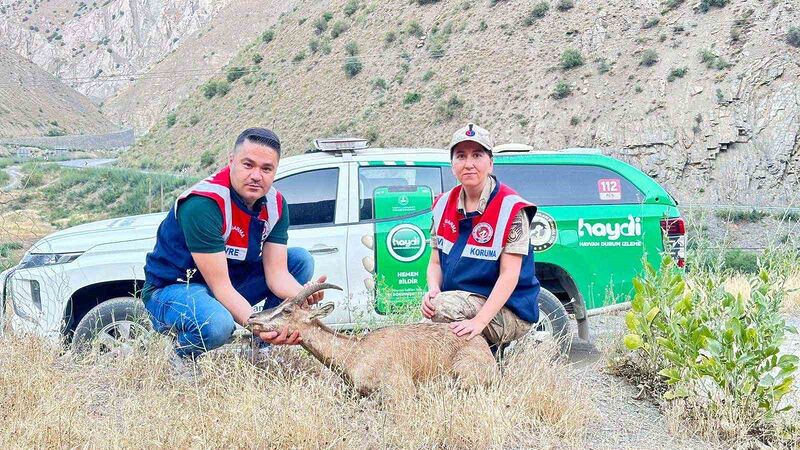 HAKKARİ'DE YARALI HALEDE BULUNAN