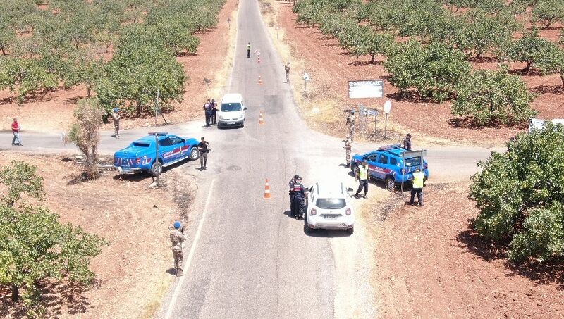 GAZİANTEP'TE ANTEP FISTIĞI HASADININ