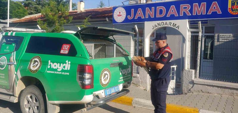 AFYONKARAHİSAR’DA JANDARMA EKİPLERİ TARAFINDAN