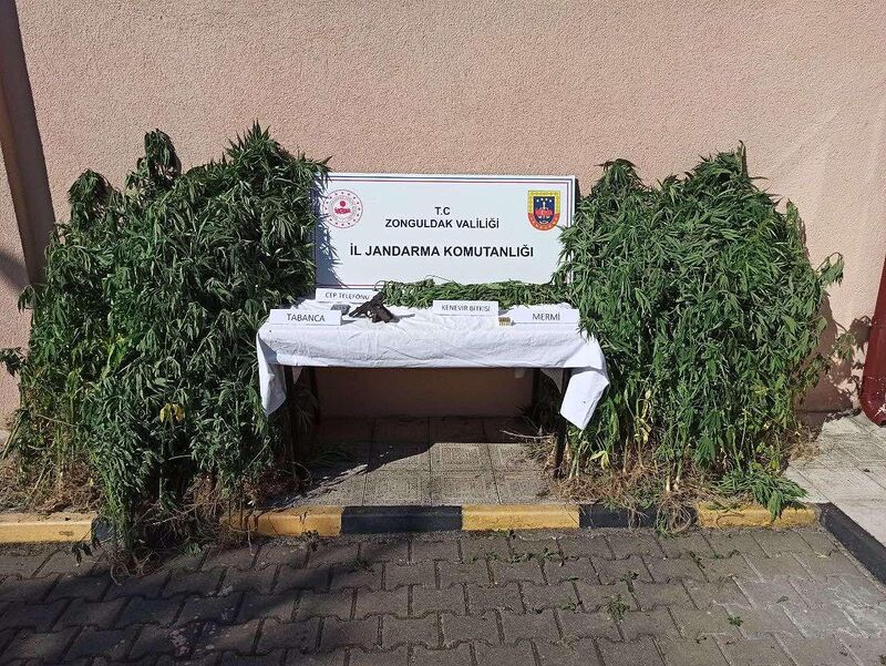 ZONGULDAK'TA JANDARMA EKİPLERİNCE DÜZENLENEN