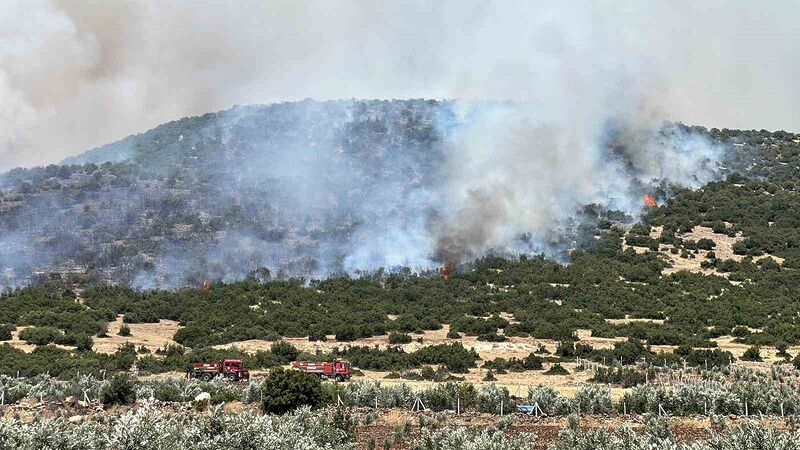 Kahramanmaraş’ta makilik alanda çıkan yangın kontrol altına alındı