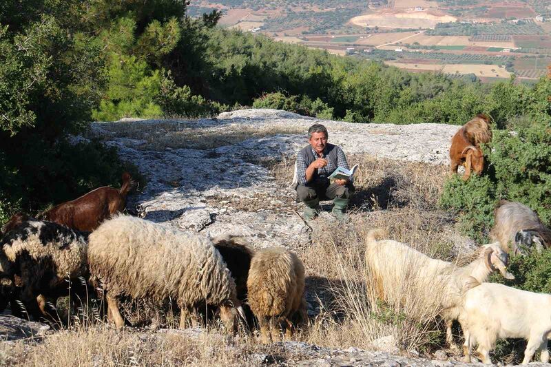 HATAY'IN YAYLADAĞI İLÇESİNDE 50