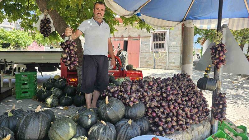 KAPIDAĞ MOR SOĞANI TEZGAHLARDA