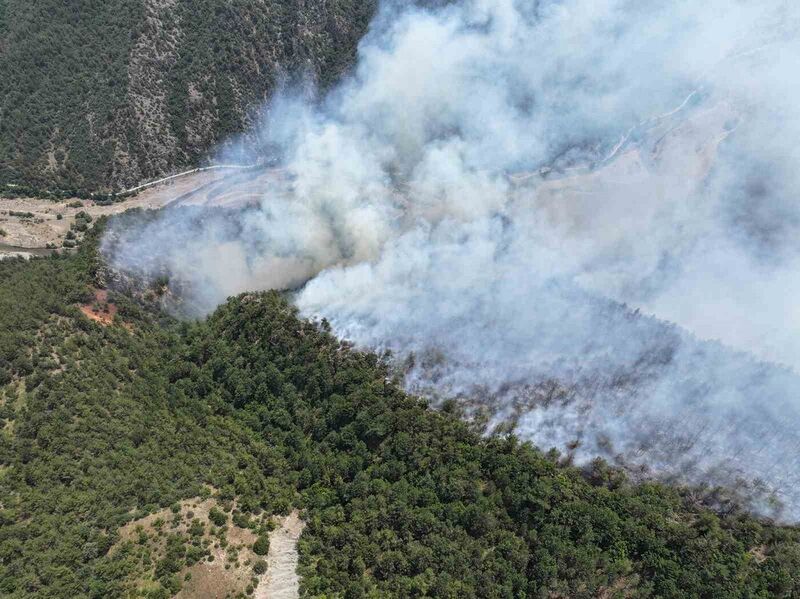 KARABÜK’ÜN OVACIK İLÇESİNDE YILDIRIM