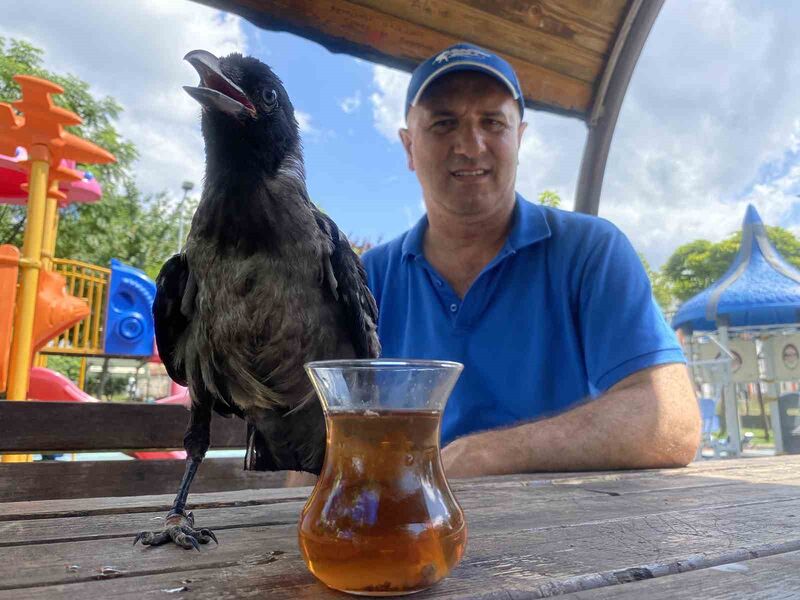 Karga, Rize çayı dışında bir şey içmiyor