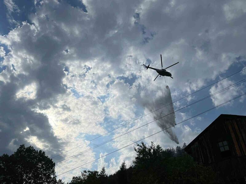 KASTAMONU'NUN AZDAVAY İLÇESİNDE ORMANLIK