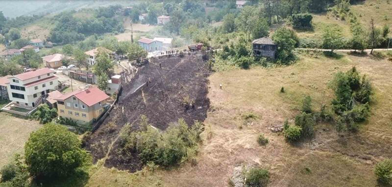 KASTAMONU’NUN ÇATALZEYTİN İLÇESİNDE TARLADA