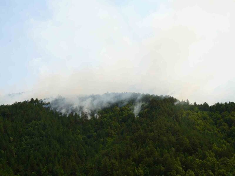 KASTAMONU'NUN İHSANGAZİ İLÇESİNDE YILDIRIM