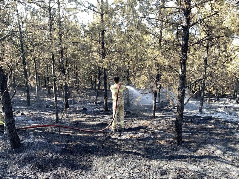 KASTAMONU'DA ÇIKAN ORMAN YANGINI