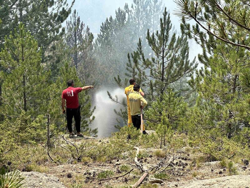 Kastamonu’daki orman yangınları kontrol altına alındı