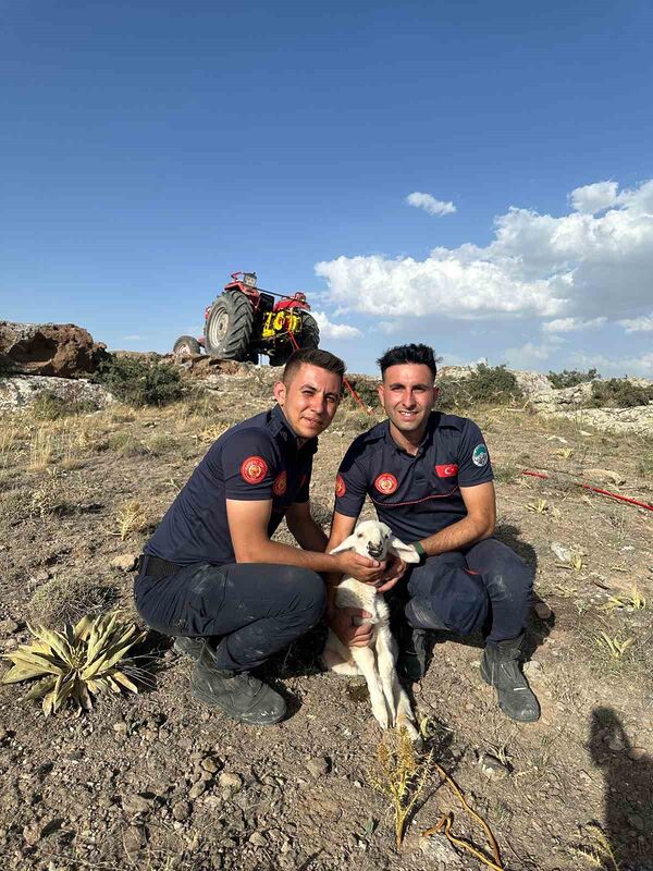 Kayalıklara sıkışan kuzu 2,5 saatlik çalışma ile kurtarıldı