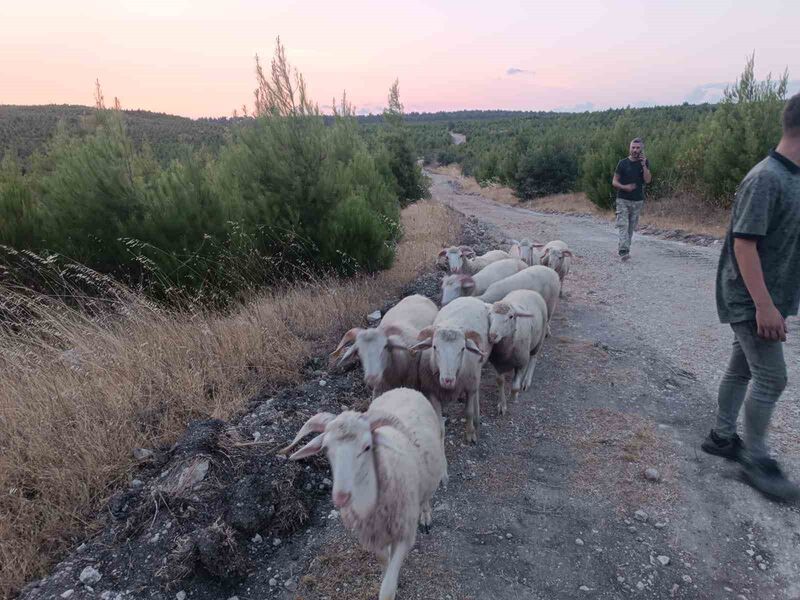 MANİSA’NIN SOMA İLÇESİNDE KAYBOLAN