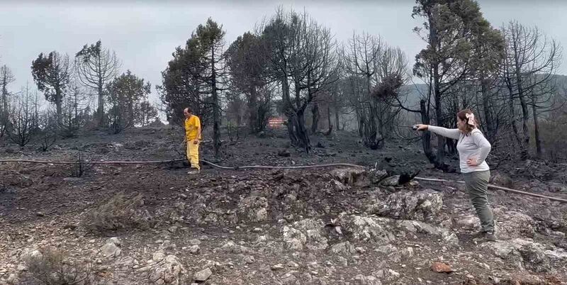 Kepsut’ta çıkan yangının ilerlemesi durdu, soğutma çalışmaları başlıyor