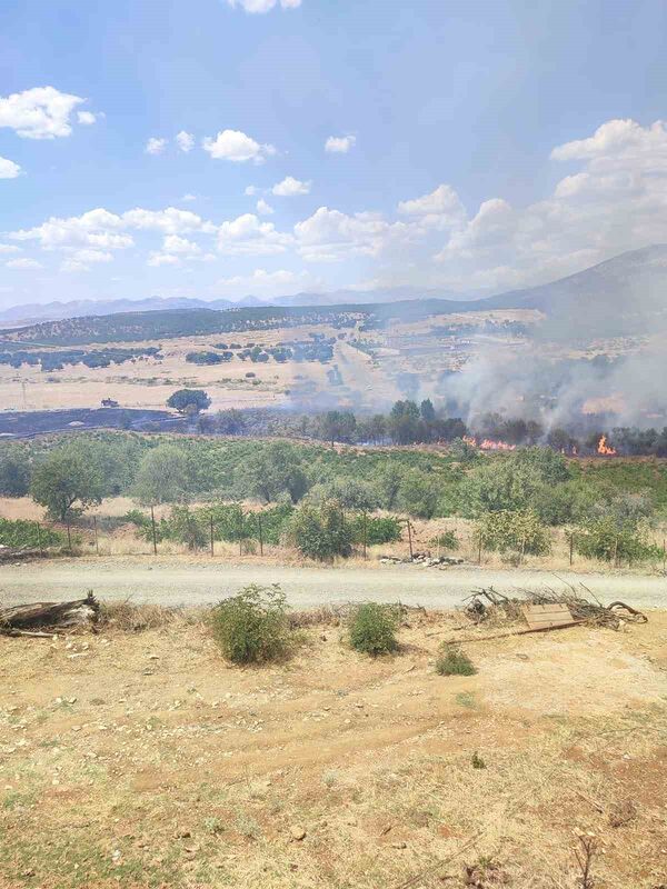 DİYARBAKIR’IN KULP İLÇESİNDE DÜN