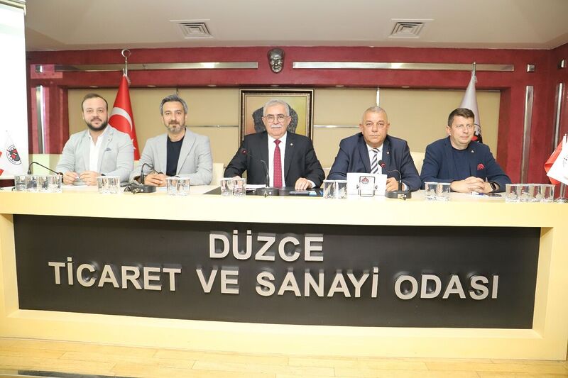 DÜZCE TİCARET VE SANAYİ