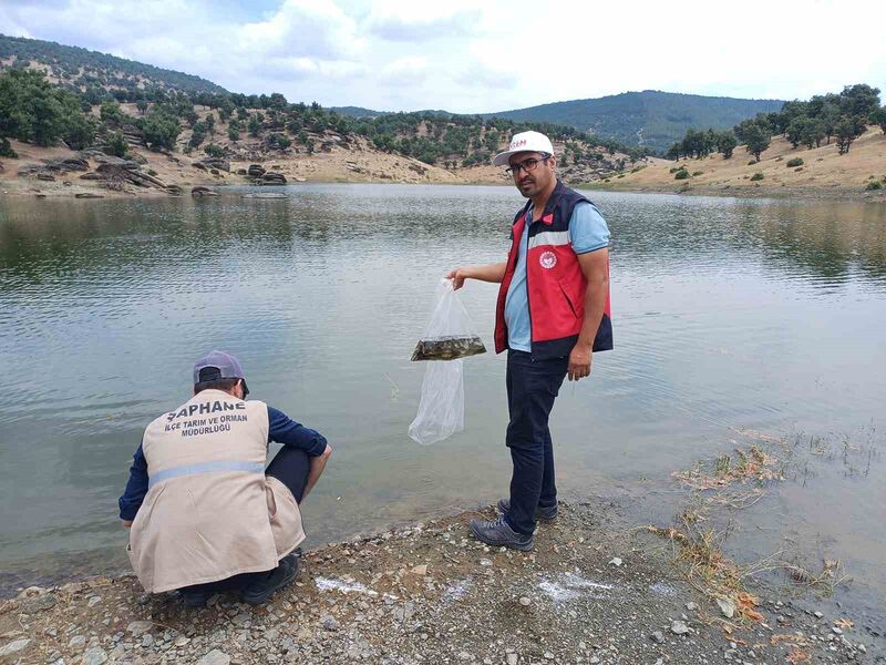 Kütahya’da 5 milyon 423 bin 150 adet balık iç su kaynaklarına bırakıldı