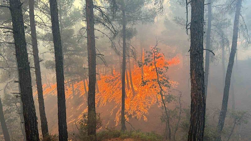 GEDİZ’DE ORMAN YANGINI BÜYÜMEYE