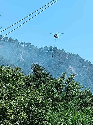 Kuyucak’taki orman yangınının sebebi belli oldu