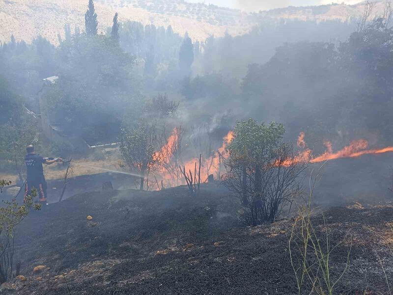 MALATYA’DA BAHÇELİK ALANDA KORKUTAN