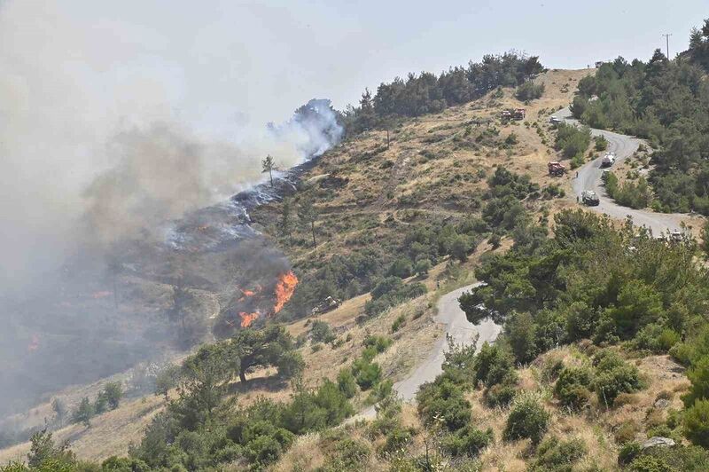 Manisa Büyükşehir İtfaiyesi evleri yanmaktan kurtardı