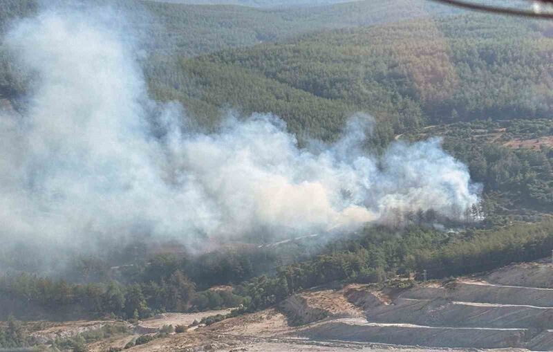 Milas’ta orman yangını