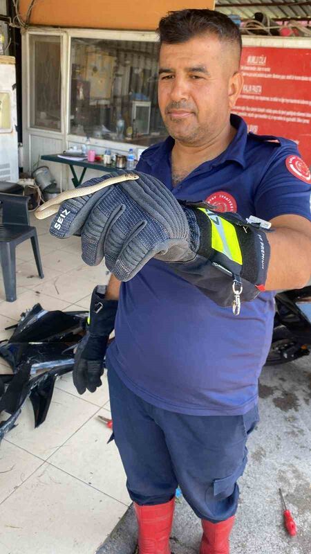 HATAY'DA MOTOSİKLETİN MOTOR KISMINA