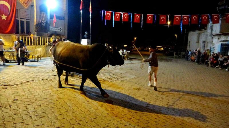 MUĞLA’NIN MENTEŞE İLÇESİ ALGI