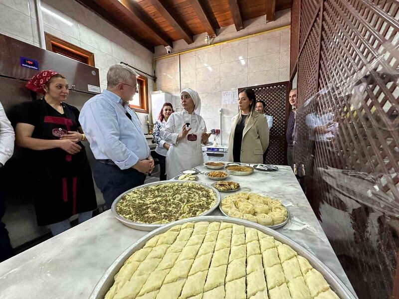 ORTA KARADENİZ KALKINMA AJANSI