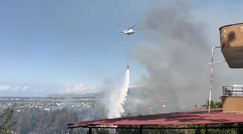 HATAY'IN ARSUZ İLÇESİNDE ÇIKAN