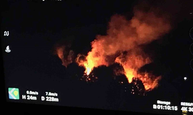 SAKARYA’NIN KARAPÜRÇEK İLÇESİNDE ORMANLIK