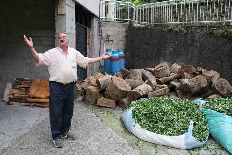 Rize’de akrabalar arasında odun bilmecesi