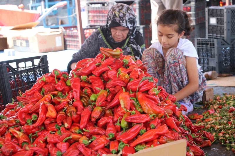 TÜRKİYE'NİN YEMEKLİK PUL BİBER