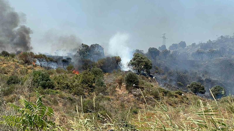 TEKİRDAĞ'IN ŞARKÖY İLÇESİNDE MAKİLİK