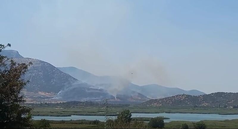 Selçuk’taki orman yangını kontrol altında