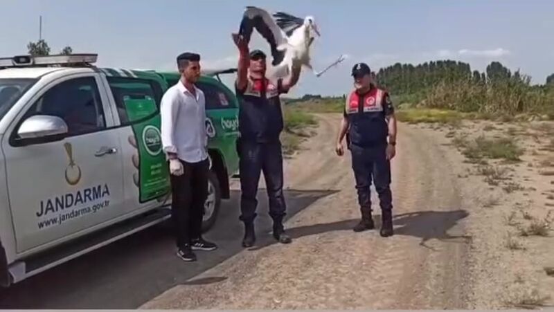 Sıcaktan bitkin düşen leylek tedavi altına alındı