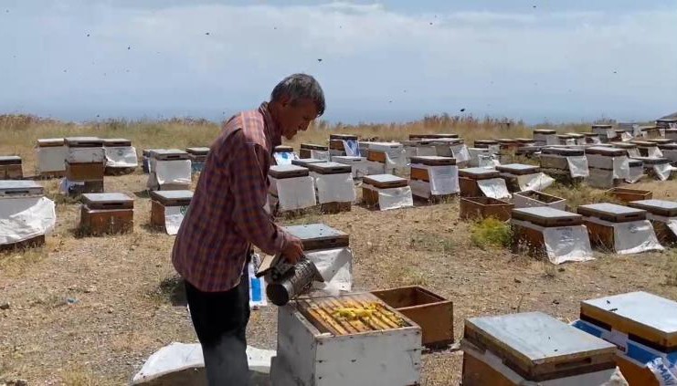 Süphan Dağı eteklerinde bal sağımı