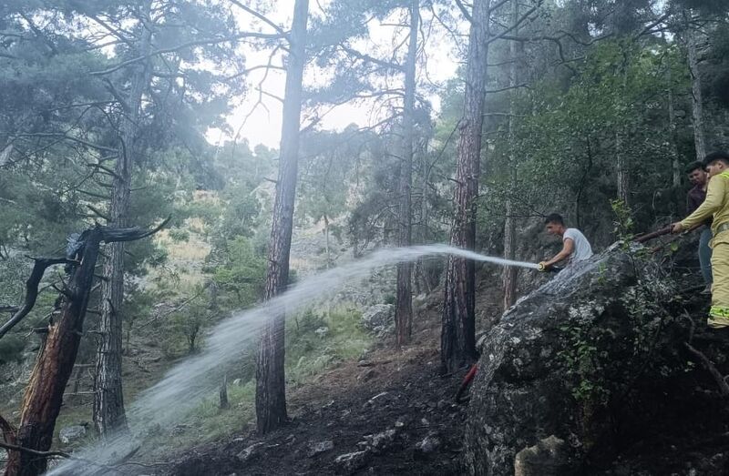 TARSUS'TA ORMANDA ÇIKAN YANGIN