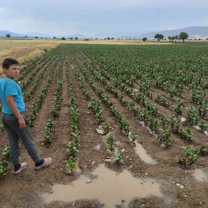 METEOROLOJİ GENEL MÜDÜRLÜĞÜNÜN YAĞIŞ