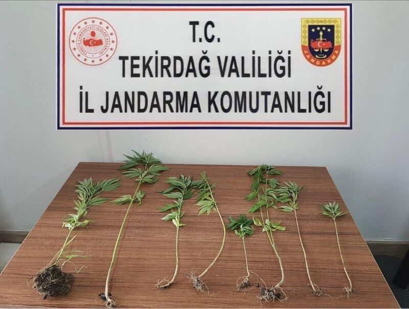 Tekirdağ’da uyuşturucu operasyonları: 8 kişi yakalandı